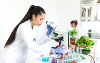 Du học Đức ngành công nghệ thực phẩm - Lựa chọn lý tưởng của bạn 